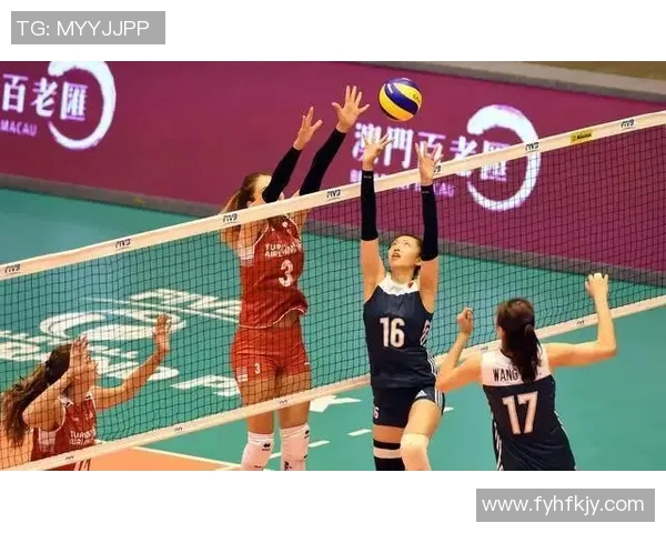 杭州排球队的奋斗历程与冠军赛背后的故事揭秘