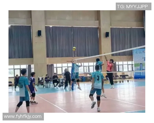 成都排球队的阵地战揭秘：深度解析排球技战术与团队协作的完美结合